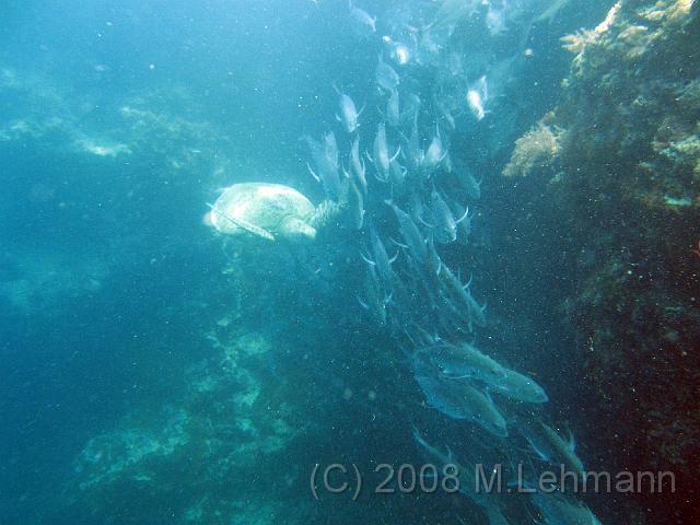 IMG_1727.JPG