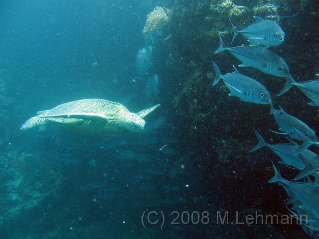 IMG_1728.JPG