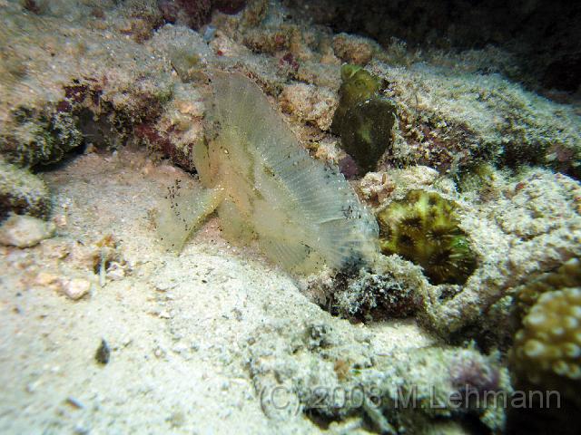 IMG_1732.JPG