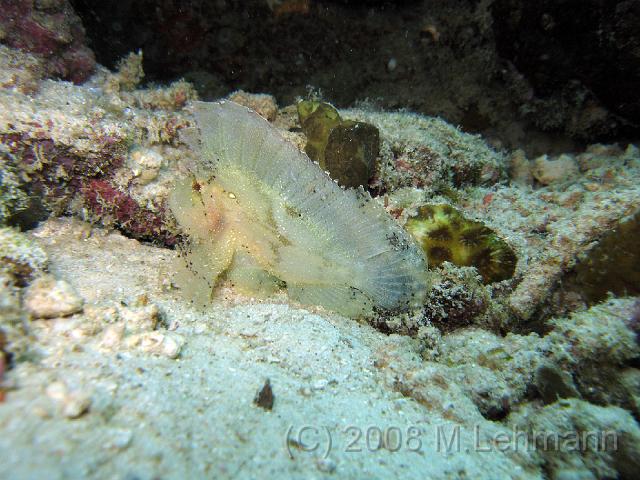 IMG_1733.JPG