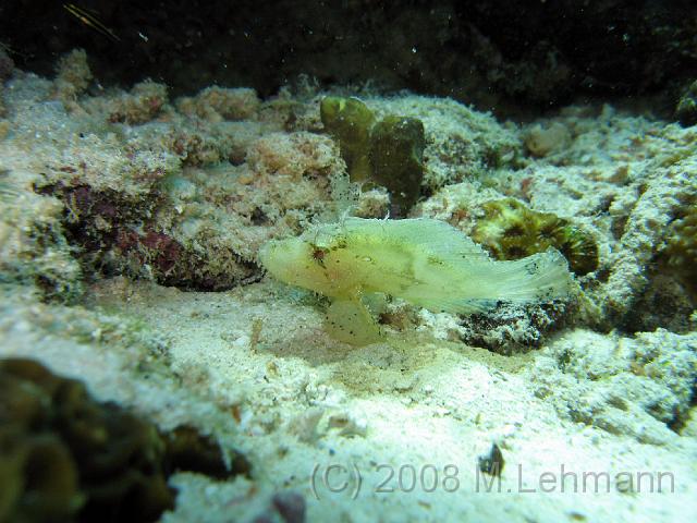 IMG_1734.JPG