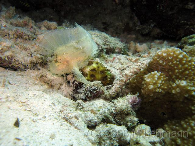 IMG_1735.JPG
