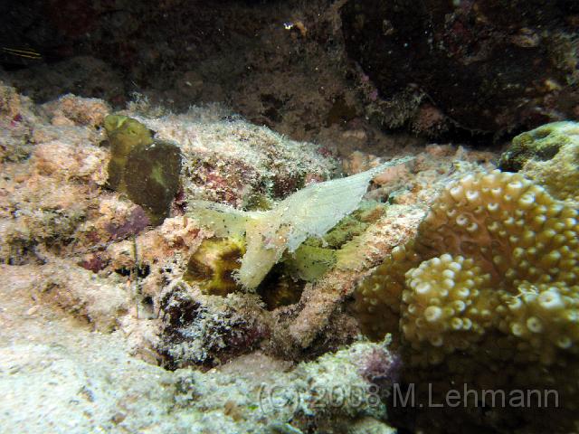 IMG_1737.JPG