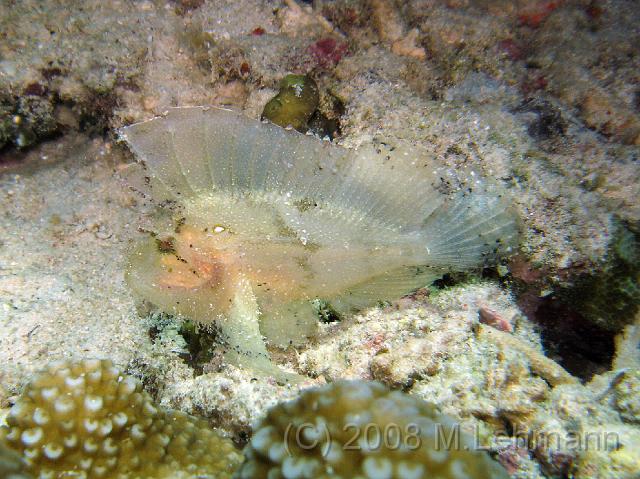 IMG_1739.JPG
