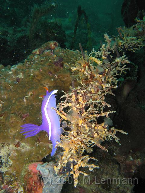 IMG_1755.JPG