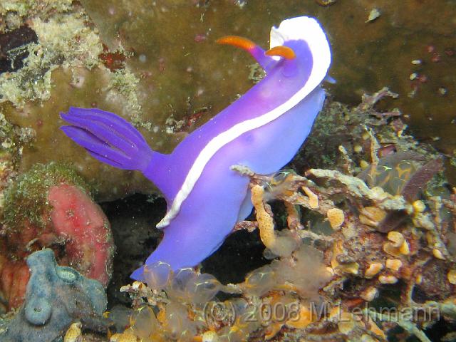 IMG_1756.JPG