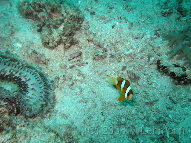 IMG_1762.JPG