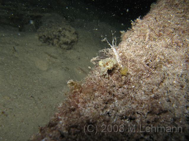 IMG_1876.JPG