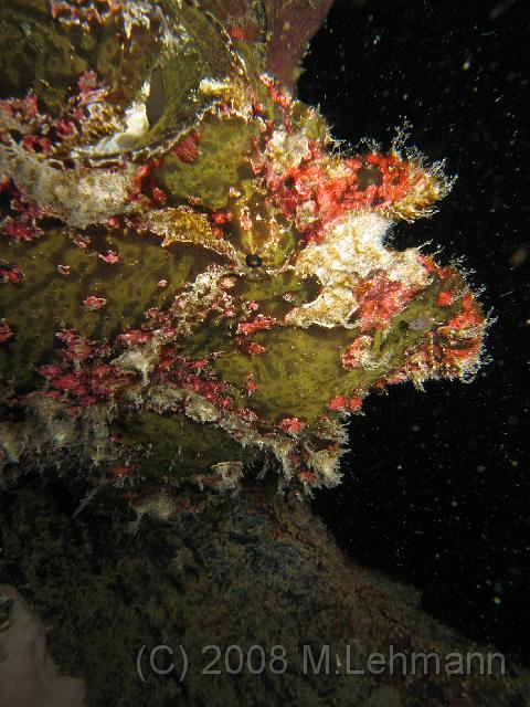 IMG_1879.JPG