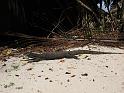 IMG_1670
