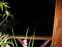 IMG_1904
