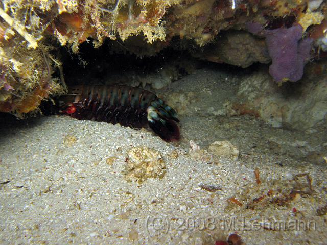 IMG_1968.JPG