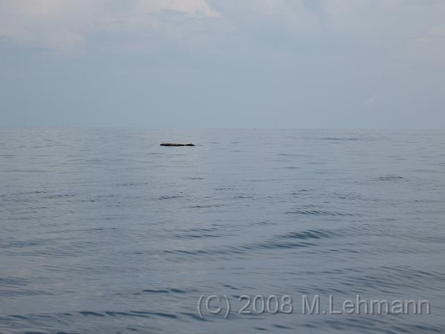 IMG_1985.JPG