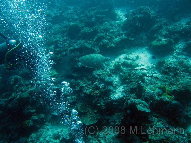 IMG_1993.JPG