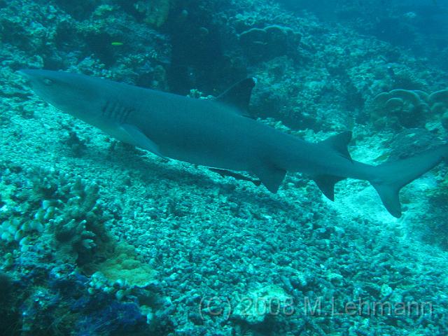 IMG_2037.JPG