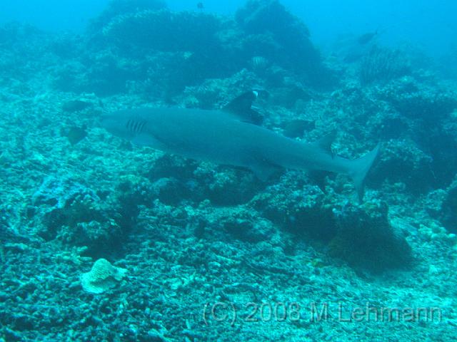 IMG_2038.JPG