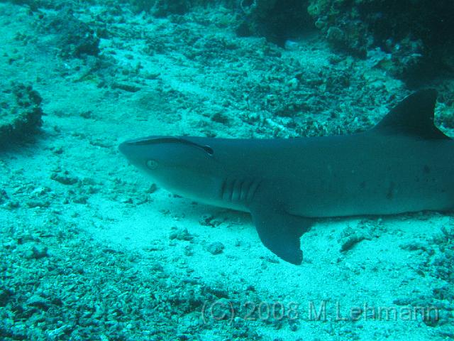 IMG_2041.JPG