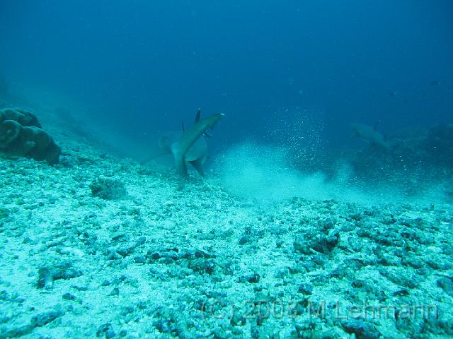 IMG_2051.JPG