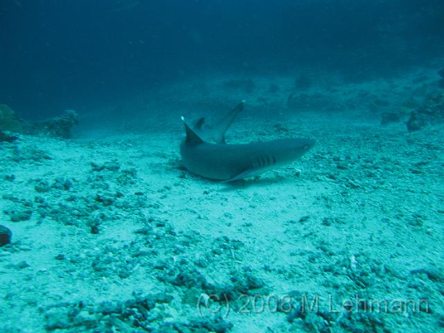 IMG_2052.JPG