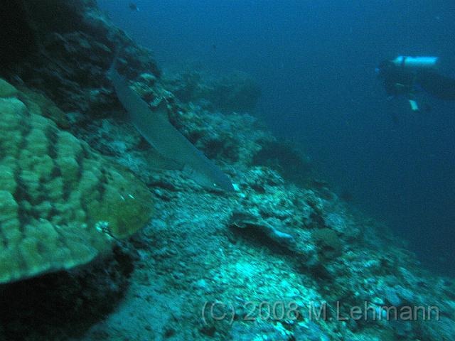 IMG_2060.JPG
