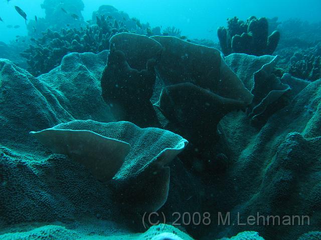 IMG_2065.JPG