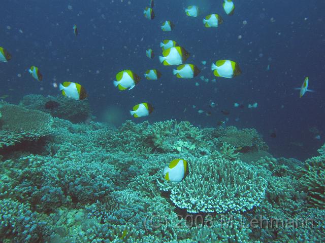 IMG_2070.JPG