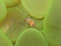 IMG_1971_1
