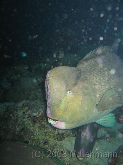 IMG_2154.JPG