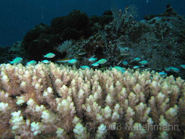 IMG_2167.JPG