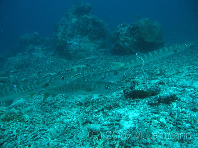IMG_2173.JPG