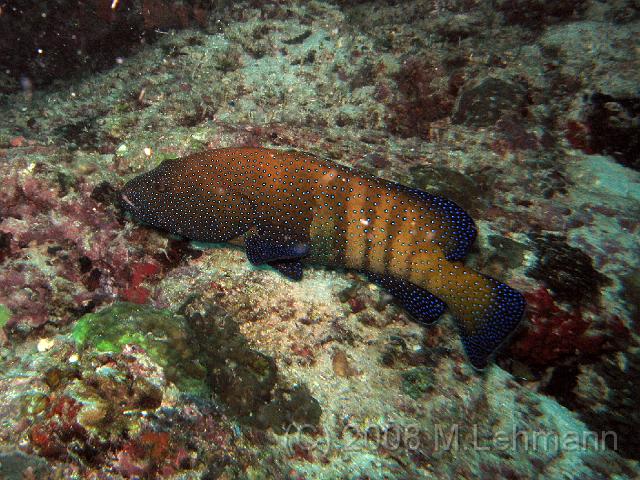 IMG_2193.JPG