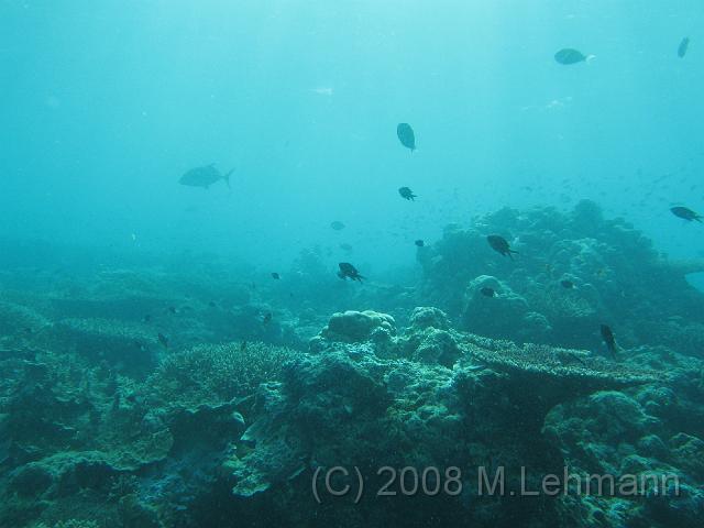 IMG_2204.JPG