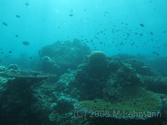 IMG_2205.JPG