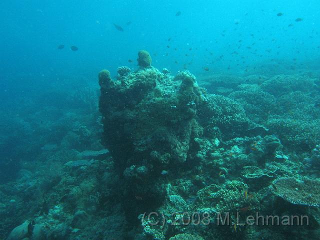 IMG_2207.JPG