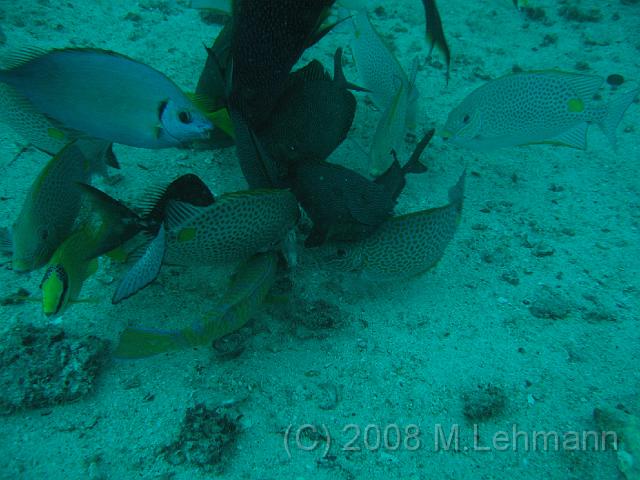 IMG_2248.JPG