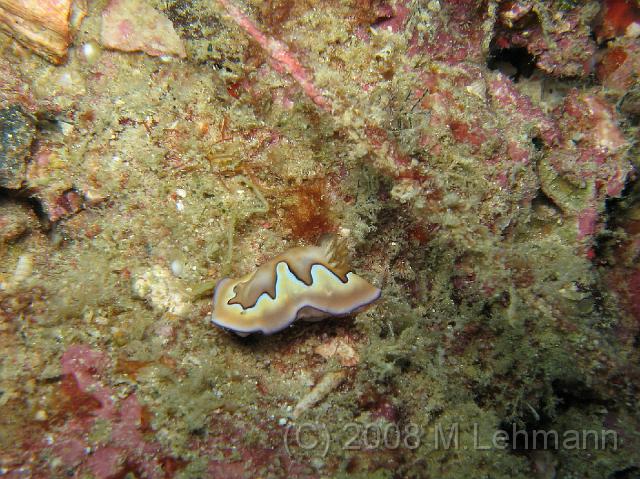 IMG_2253.JPG