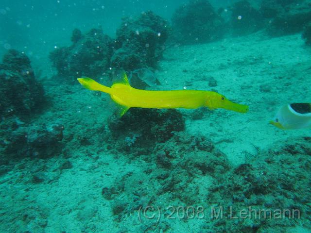 IMG_2257.JPG