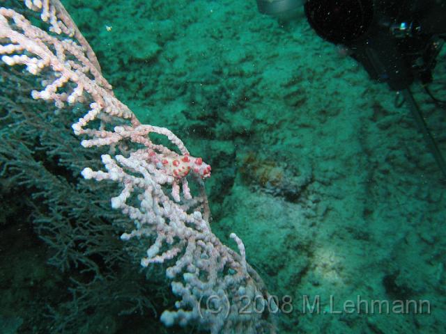 IMG_2280.JPG