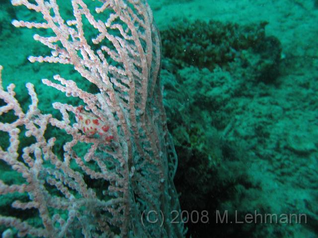 IMG_2282.JPG