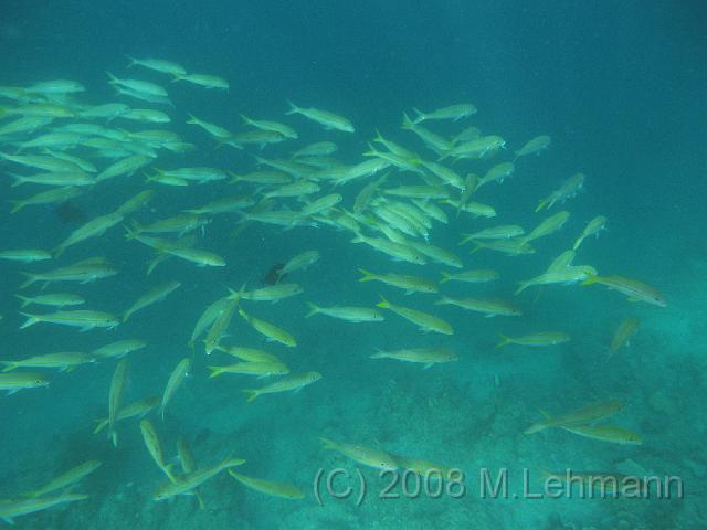 IMG_2291.JPG