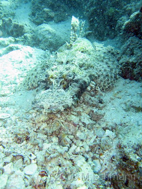 IMG_2300.JPG