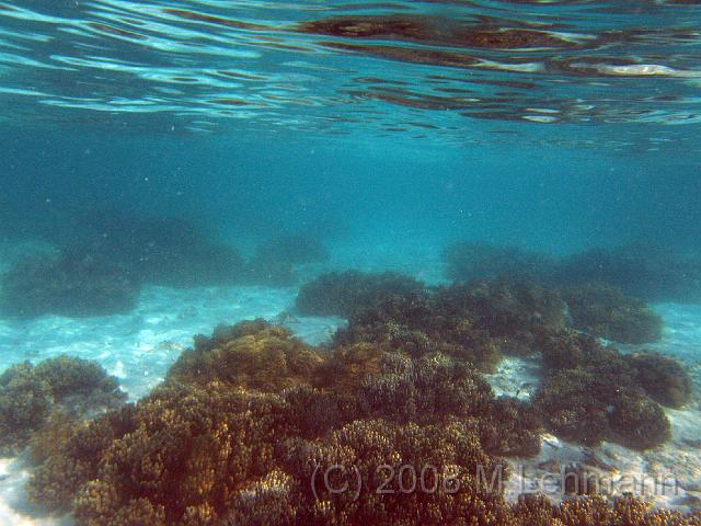 IMG_2321.JPG