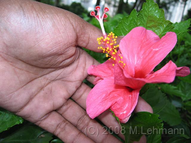 IMG_2564.JPG