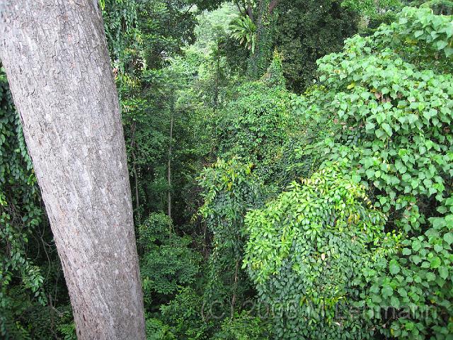 IMG_2571.JPG