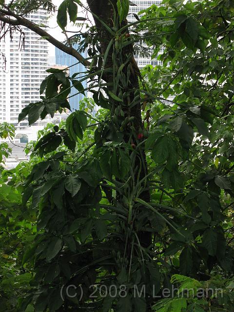 IMG_2583.JPG