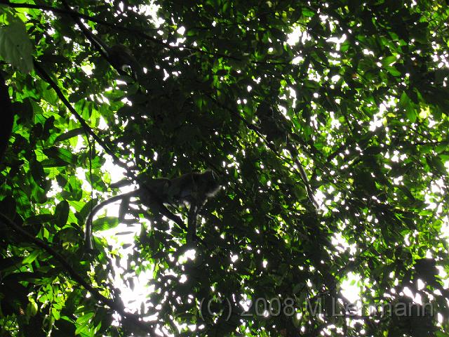 IMG_2605.JPG