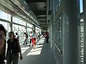 IMG_2481