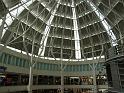 IMG_2510
