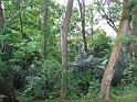 IMG_2567