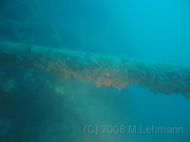 IMG_2974.JPG